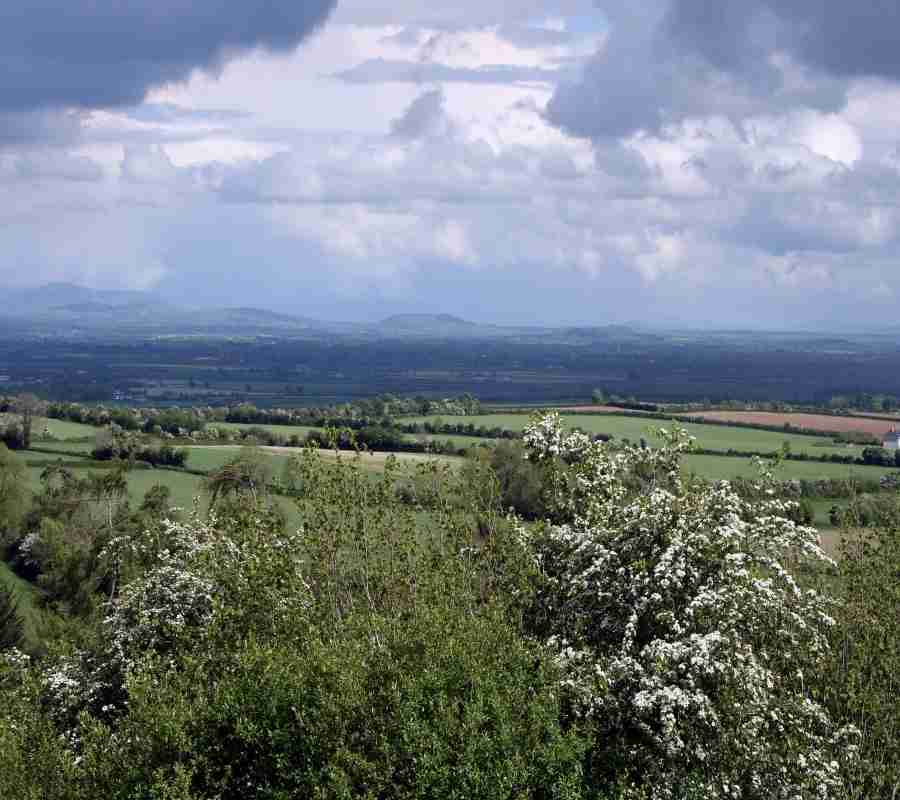 Kildare